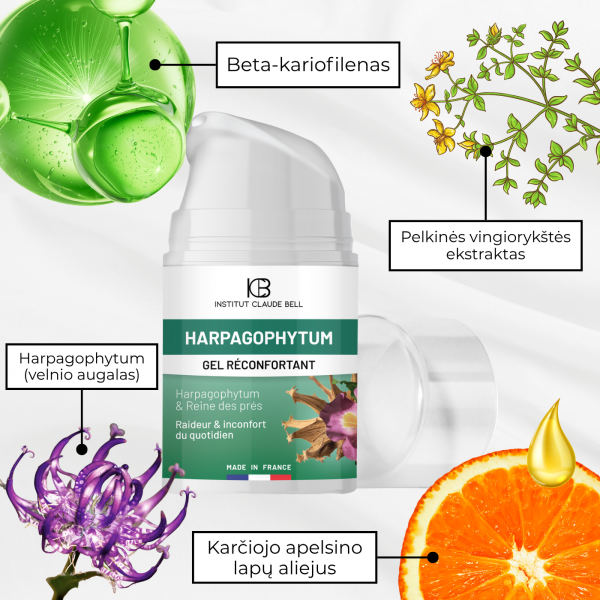 Raminantis gelis su Harpagophytum: sąnariams, lėtiniui uždegimui, osteoartritui, nugaros skausmams, raumenų įtampai Raminantis gelis su Harpagophytum: sąnariams, lėtiniui uždegimui, osteoartritui, nugaros skausmams, raumenų įtampai